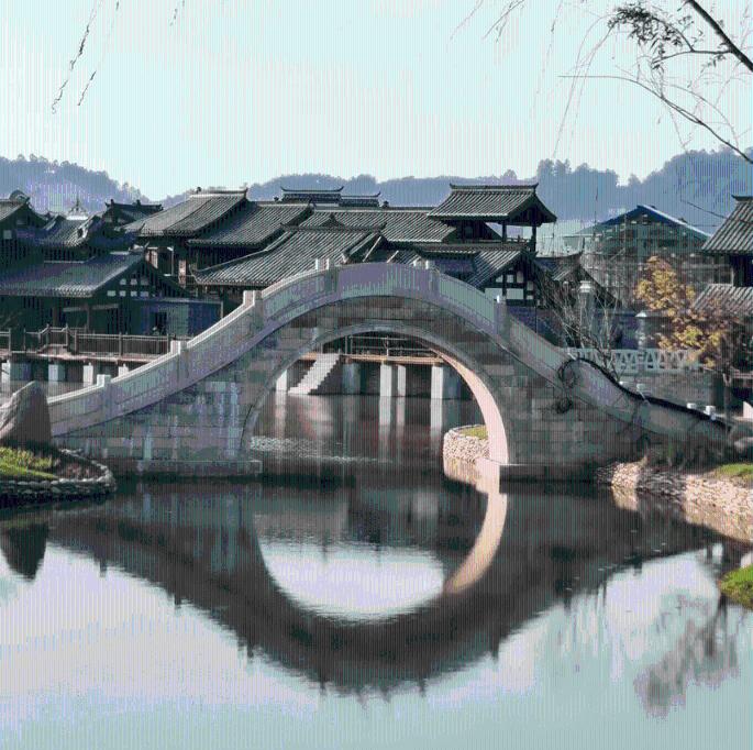 丛林森林逃生